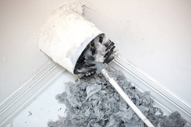 Best Air Vent Cleaning Services  in Lapel, IN